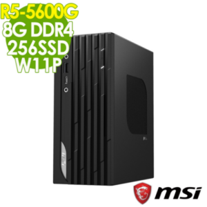 MSI 微星 PRO DP20ZA 迷你電腦 (R5-5600G/8G/256SSD/W11P)彰化筆電收購